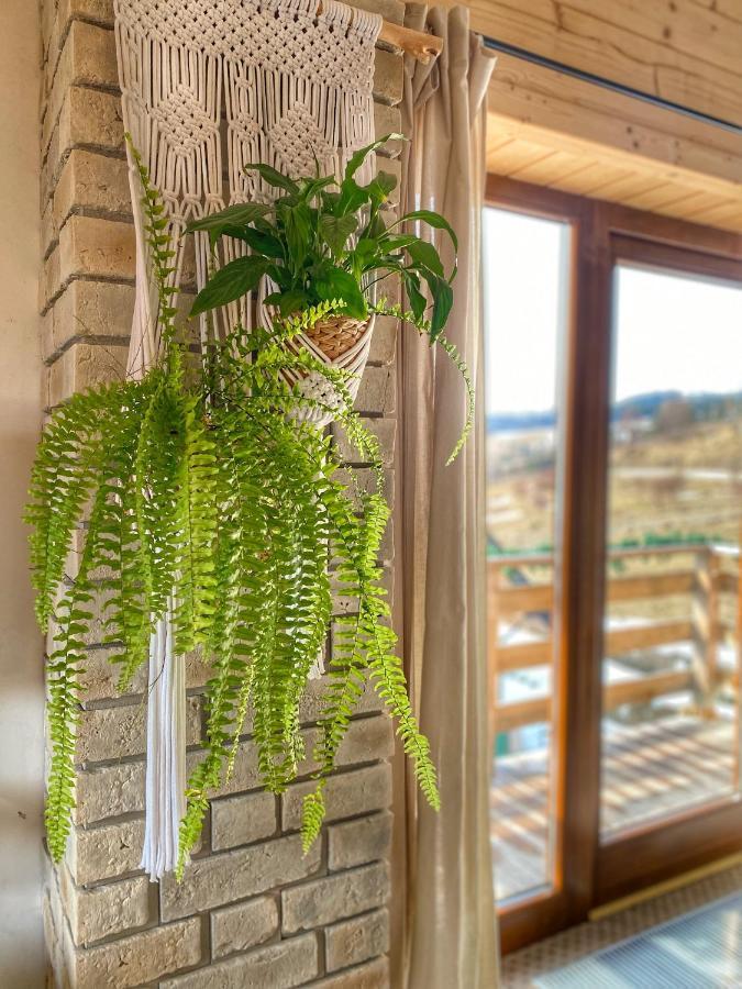 Dziejba Lesna Apartamenty &Spa - Piekne I Nowe Apartamenty I Domek, Sauna I Jacuzzi - W Cenie I Na Wylacznosc, 1 Km Od Stoku Яворки Екстериор снимка