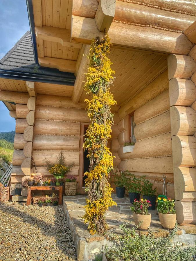 Dziejba Lesna Apartamenty &Spa - Piekne I Nowe Apartamenty I Domek, Sauna I Jacuzzi - W Cenie I Na Wylacznosc, 1 Km Od Stoku Яворки Екстериор снимка